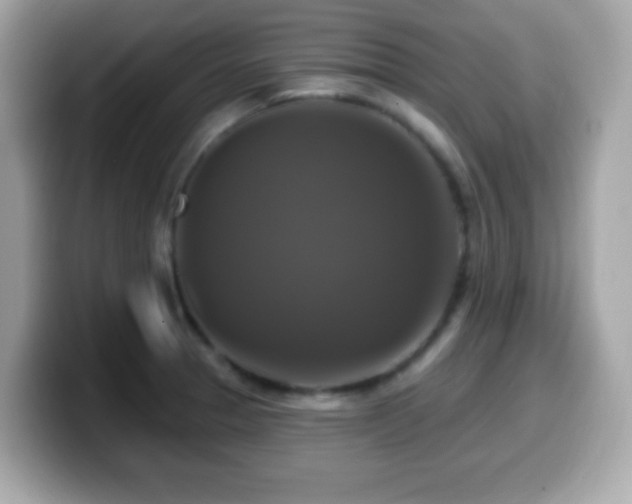 X0000099951329200805231313