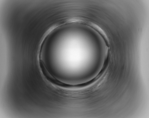 X0000099951330200805231313
