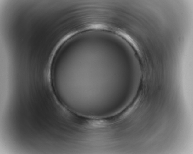 X0000099951331200805231313