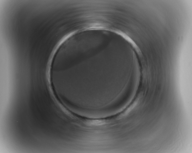 X0000099951333200805231313