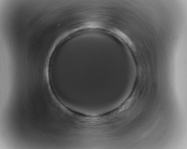 X0000099951334200805231314
