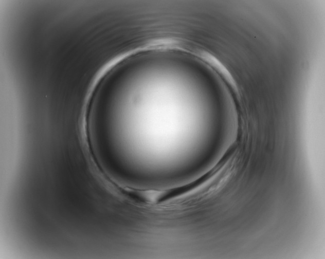 X0000099951336200805231314