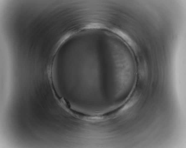 X0000099951337200805231314