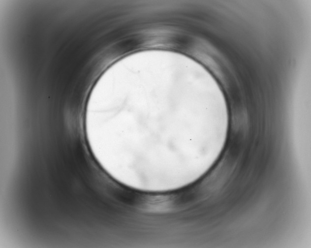 X0000099951338200805231314