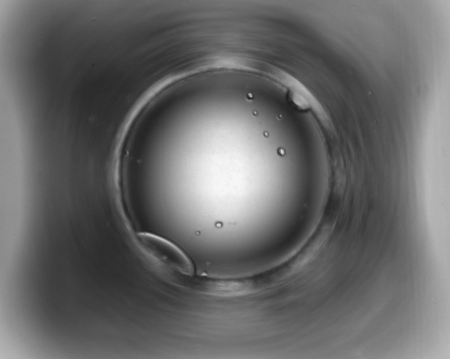 X0000099951339200805231314
