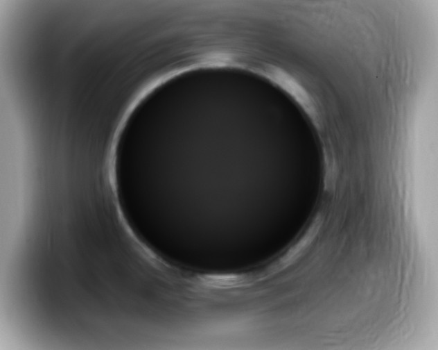 X0000099951342200805231314