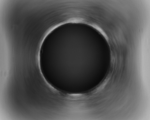 X0000099951343200805231314