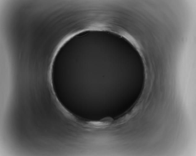 X0000099951344200805231314