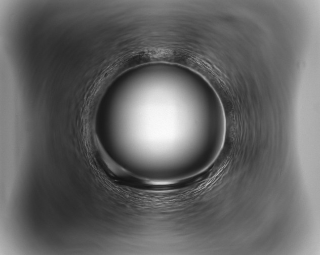 X0000099951345200805231313