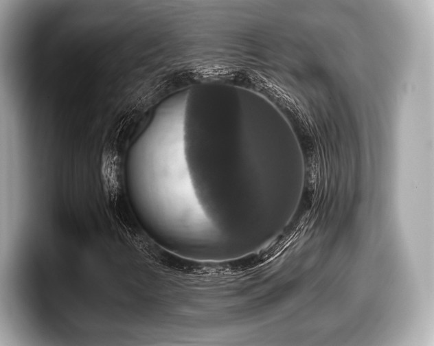 X0000099951346200805231313