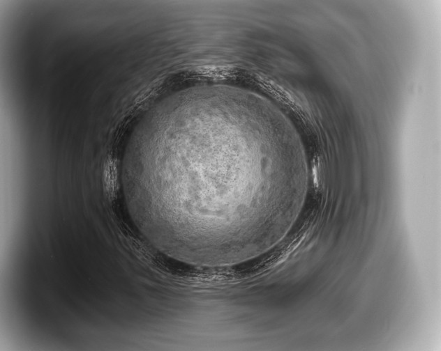X0000099951347200805231313