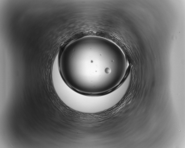 X0000099951348200805231313