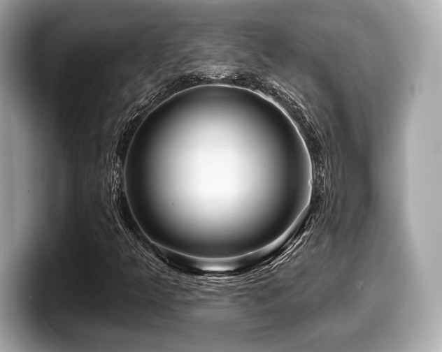 X0000099951349200805231313