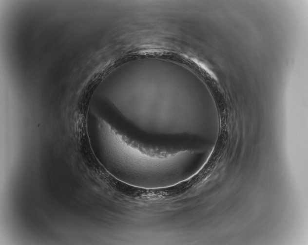 X0000099951351200805231313