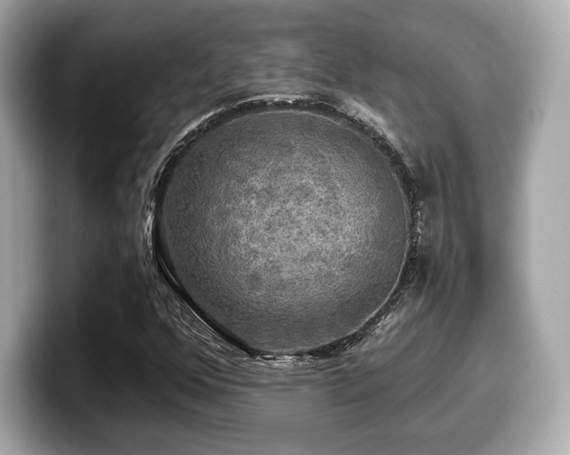 X0000099951352200805231313