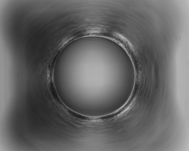 X0000099951353200805231313