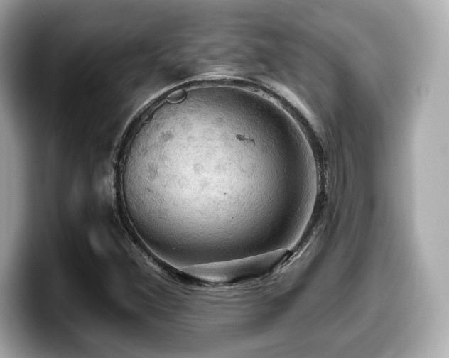 X0000099951356200805231313