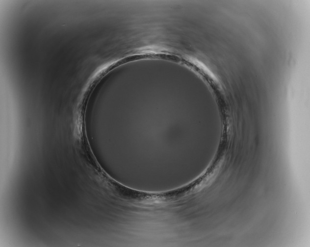 X0000099951358200805231313
