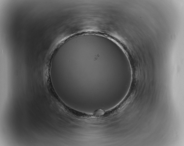 X0000099951359200805231313
