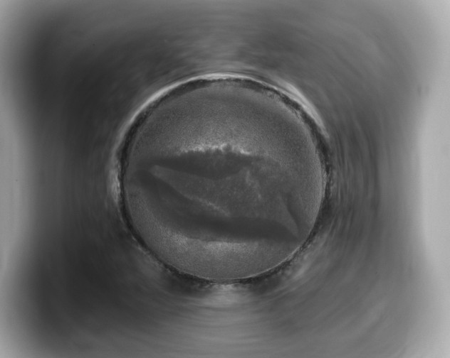 X0000099951360200805231313