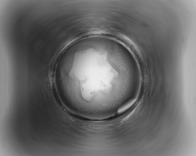 X0000099951361200805231313