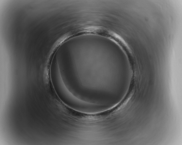 X0000099951362200805231313