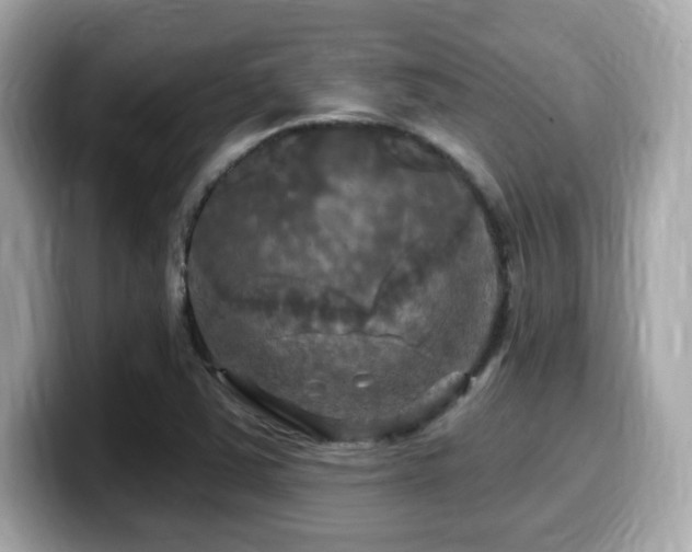 X0000099951363200805231313