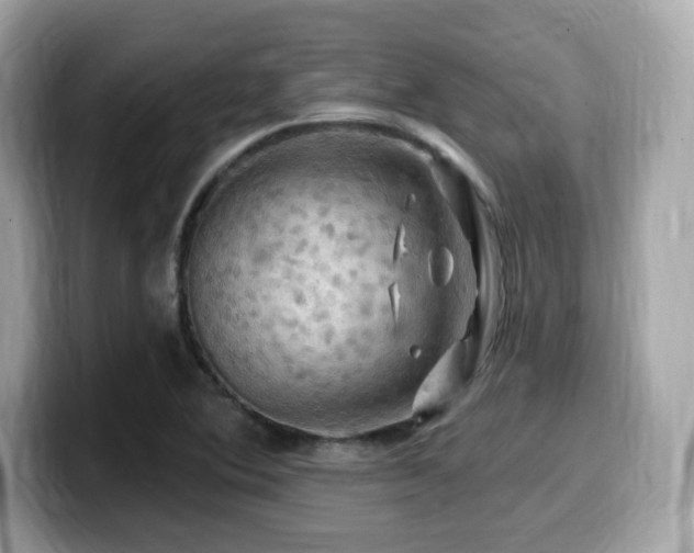 X0000099951364200805231313