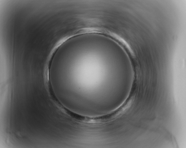 X0000099951365200805231313