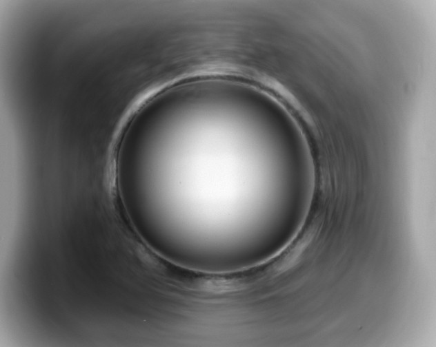 X0000099951366200805231313