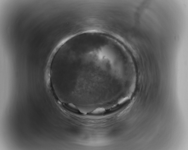 X0000099951367200805231313