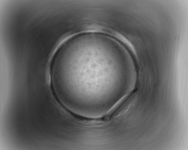 X0000099951368200805231313