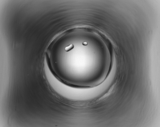X0000099951369200805231313