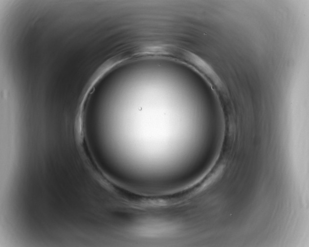 X0000099951370200805231313