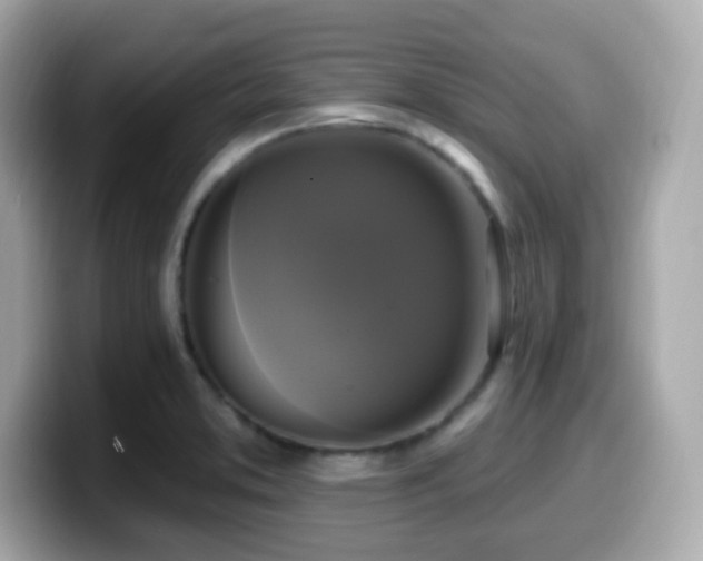 X0000099951373200805231313