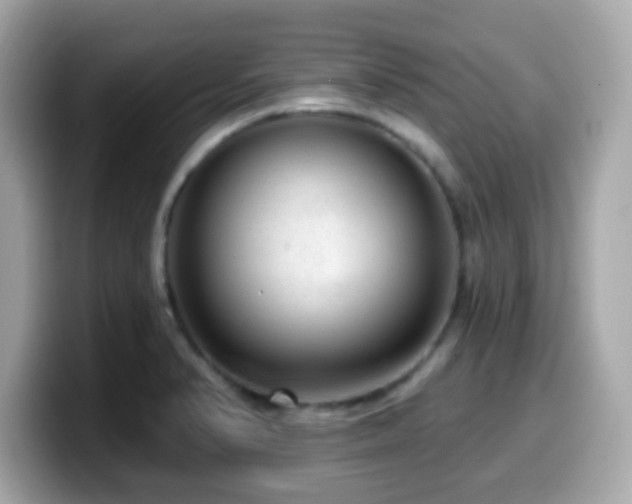 X0000099951374200805231313