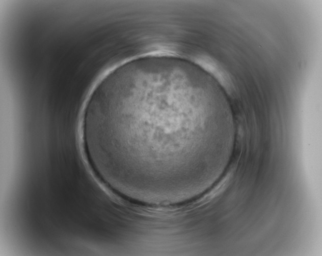 X0000099951375200805231313