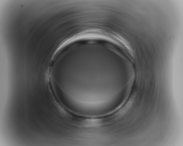 X0000099951377200805231313
