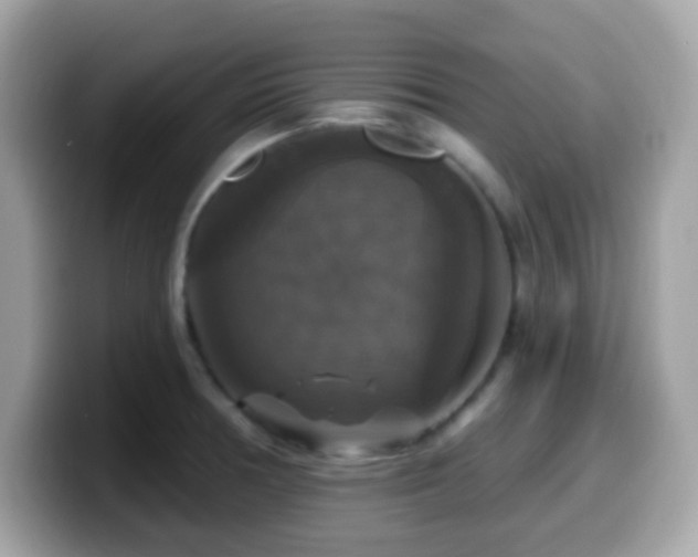 X0000099951378200805231313