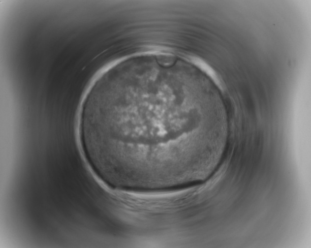 X0000099951379200805231313