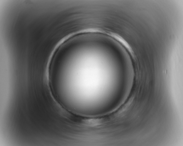 X0000099951380200805231313