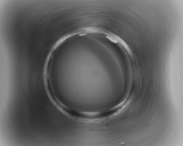 X0000099951381200805231313