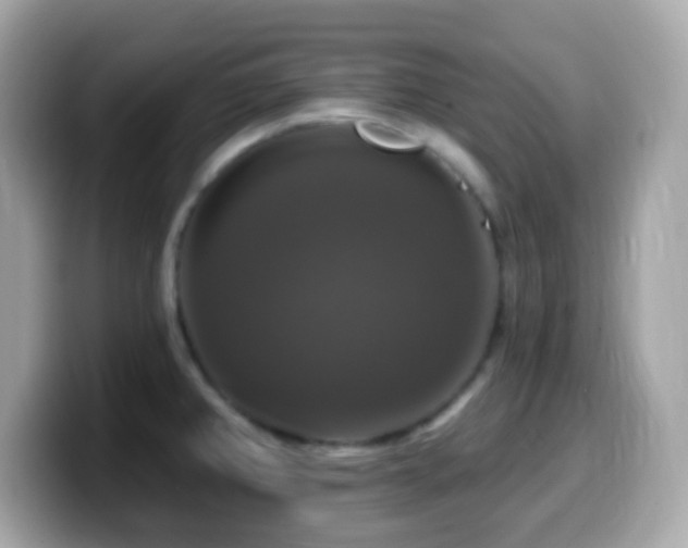 X0000099951382200805231313