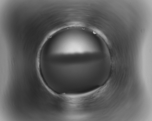X0000099951383200805231313