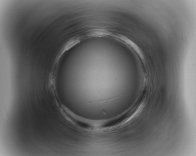 X0000099951385200805231313
