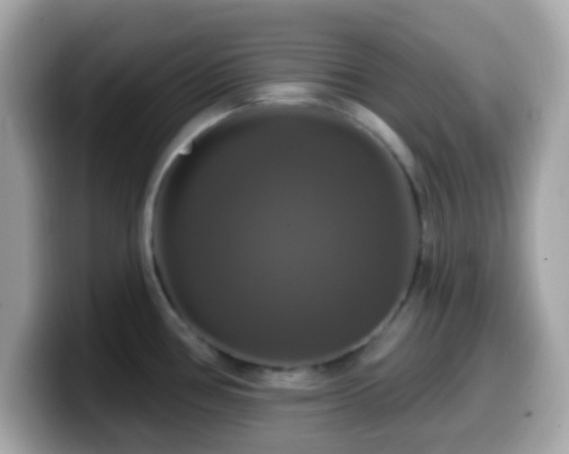 X0000099951386200805231313