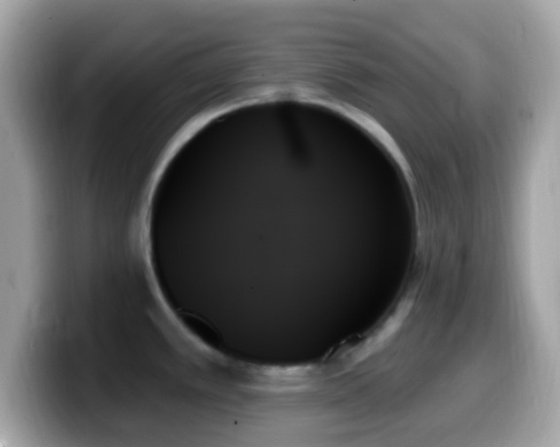 X0000099951389200805231312