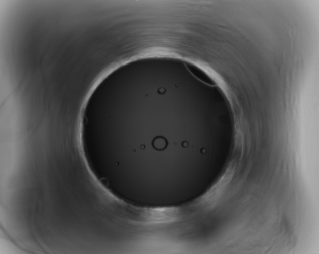 X0000099951390200805231312