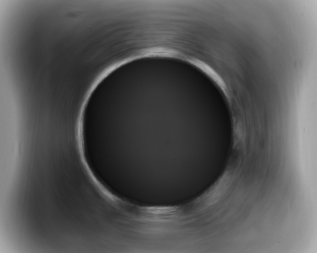 X0000099951391200805231312