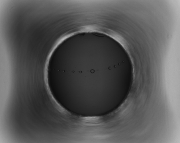 X0000099951392200805231312